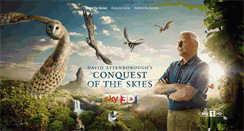 Desktop Screenshot of conquestoftheskies.com