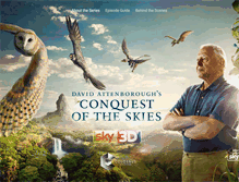 Tablet Screenshot of conquestoftheskies.com